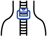 main_icon2