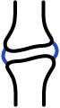 main_icon4