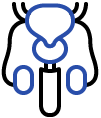 main_icon6